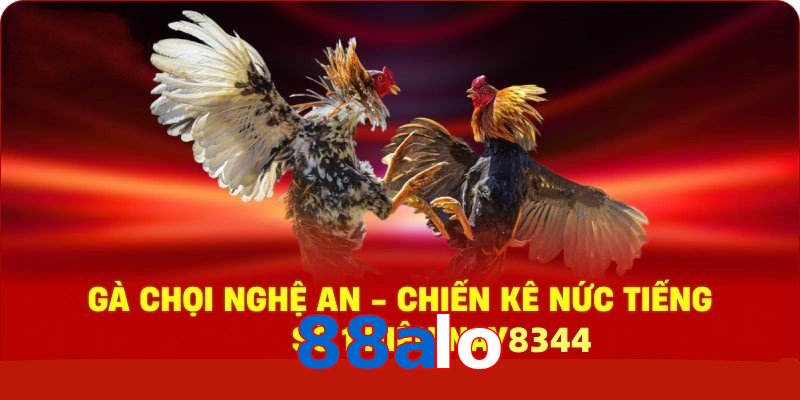 Gà Chọi Nghệ An – Chiến Kê Nức Tiếng Số 1 Hiện Nay